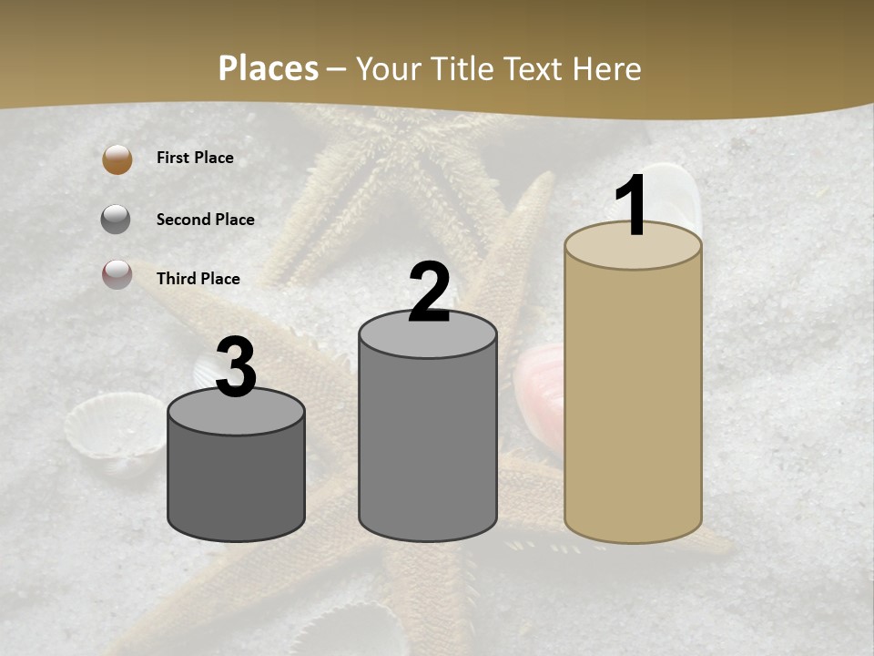 Shells Ocean Marine PowerPoint Template