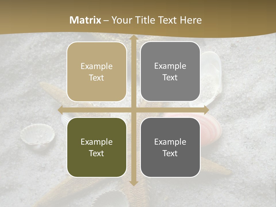 Shells Ocean Marine PowerPoint Template