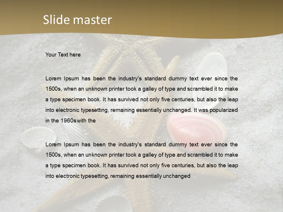 Shells Ocean Marine PowerPoint Template