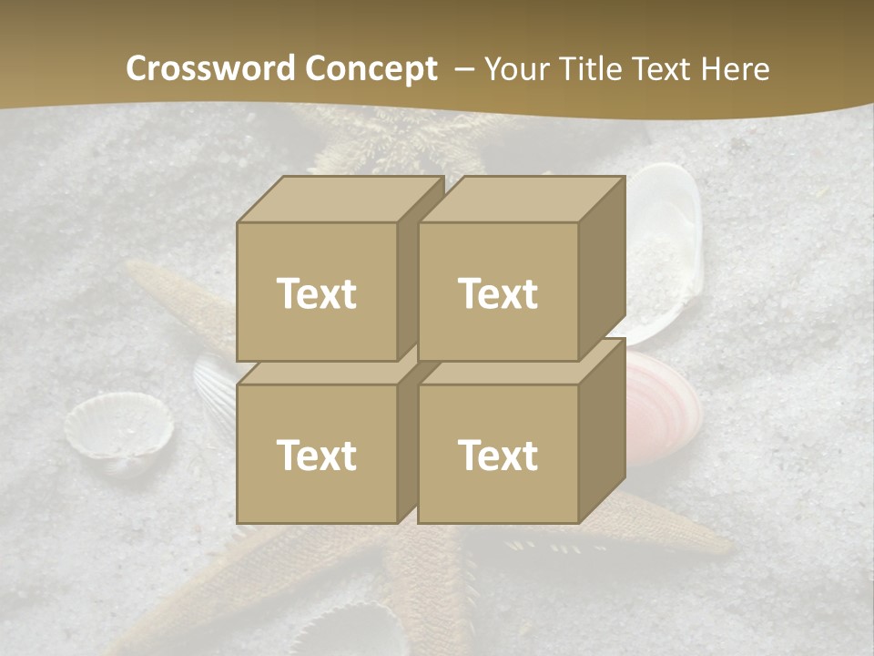 Shells Ocean Marine PowerPoint Template