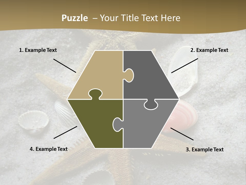 Shells Ocean Marine PowerPoint Template