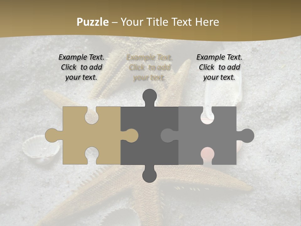 Shells Ocean Marine PowerPoint Template