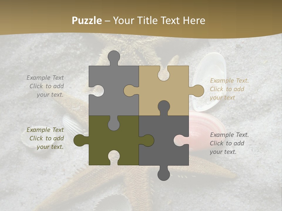 Shells Ocean Marine PowerPoint Template