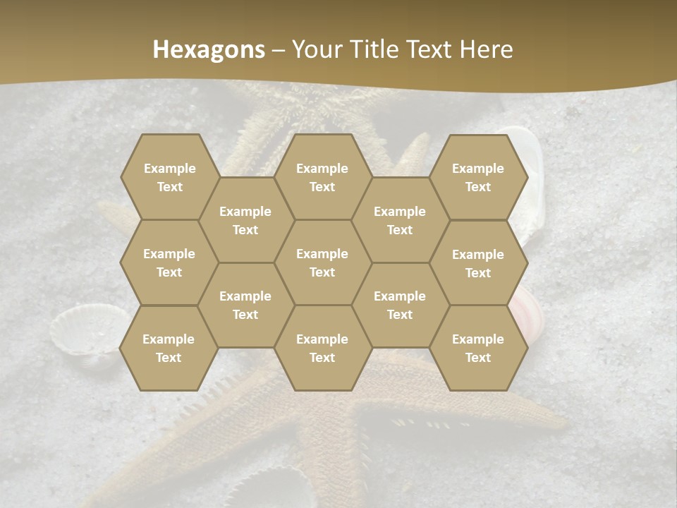 Shells Ocean Marine PowerPoint Template