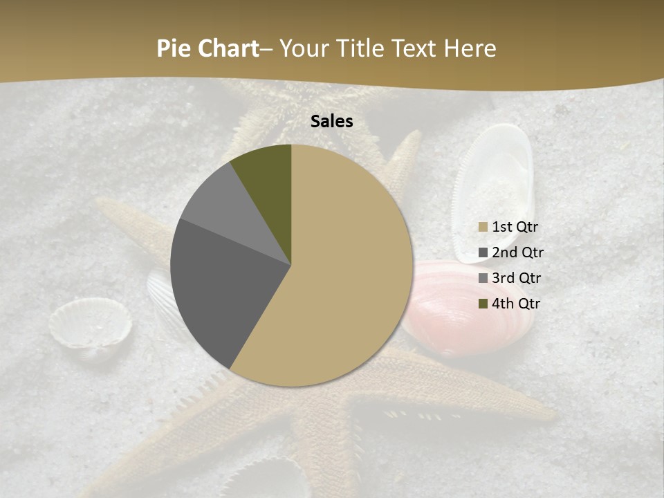 Shells Ocean Marine PowerPoint Template