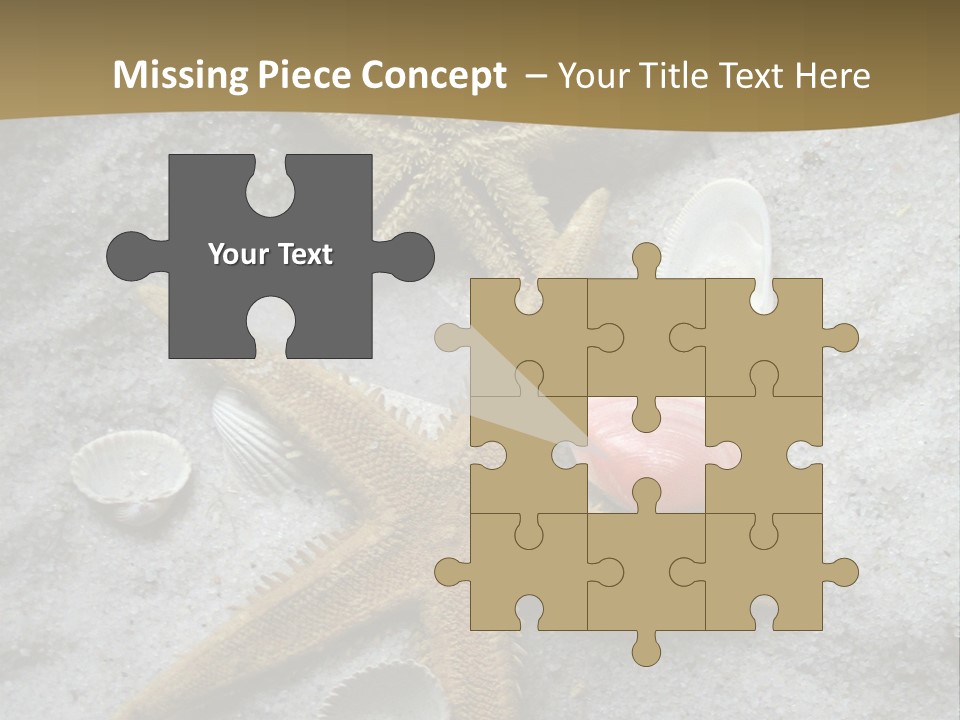 Shells Ocean Marine PowerPoint Template