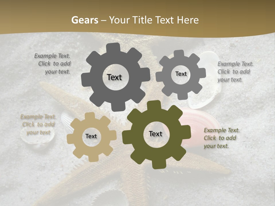 Shells Ocean Marine PowerPoint Template