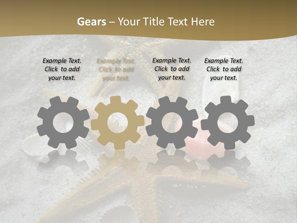 Shells Ocean Marine PowerPoint Template