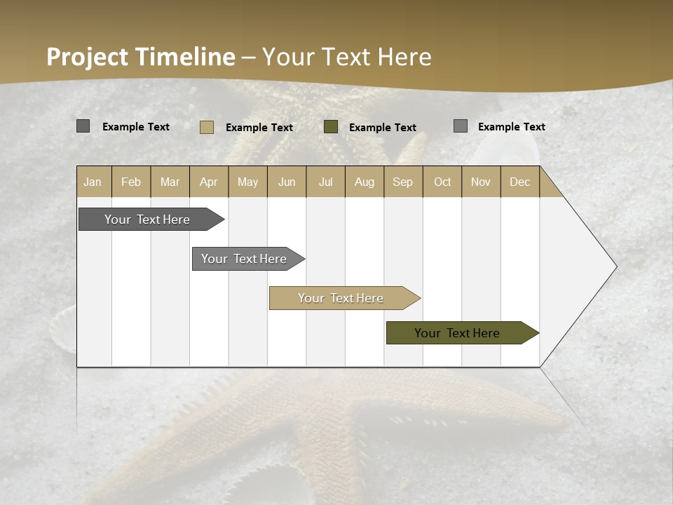 Shells Ocean Marine PowerPoint Template