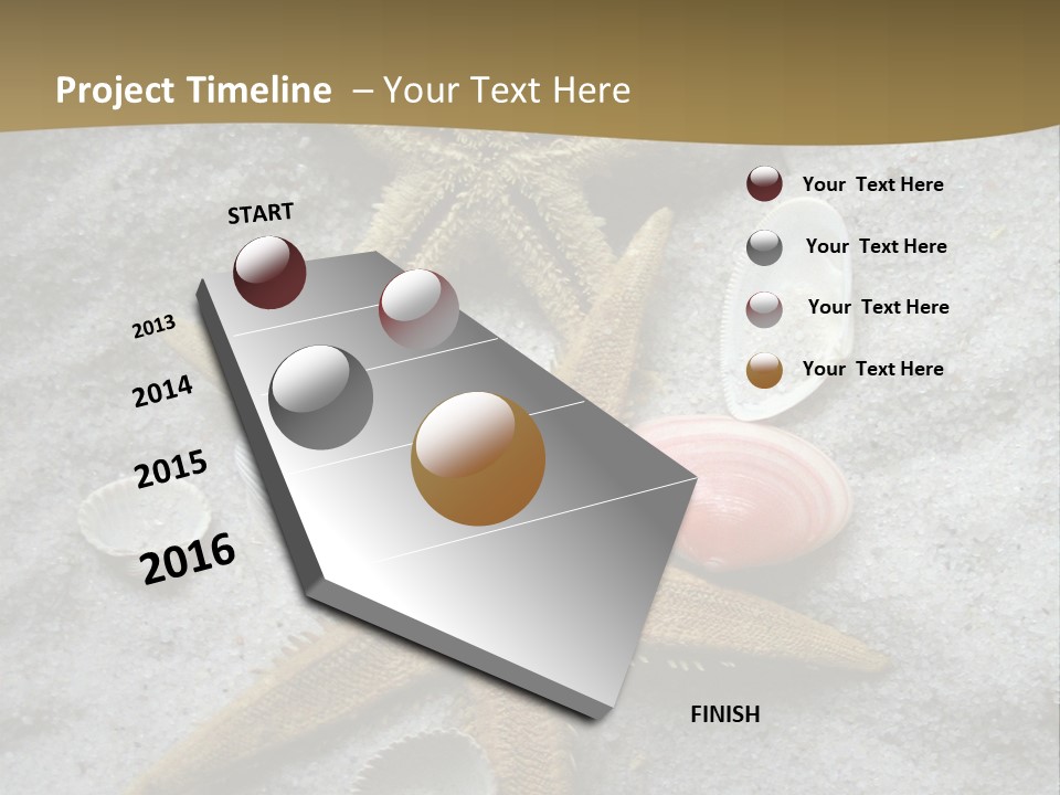 Shells Ocean Marine PowerPoint Template