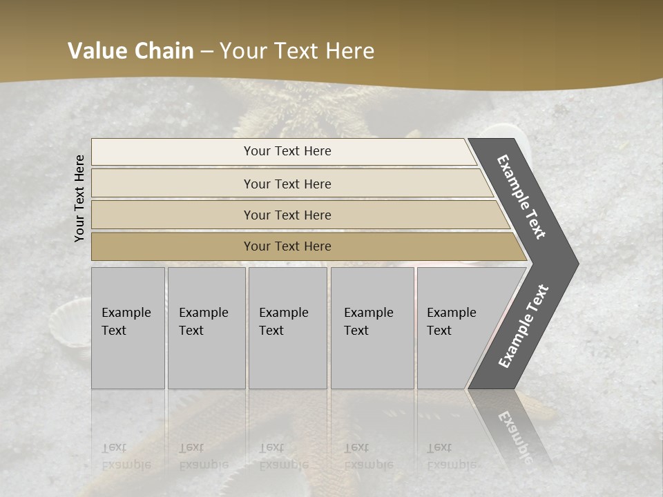 Shells Ocean Marine PowerPoint Template