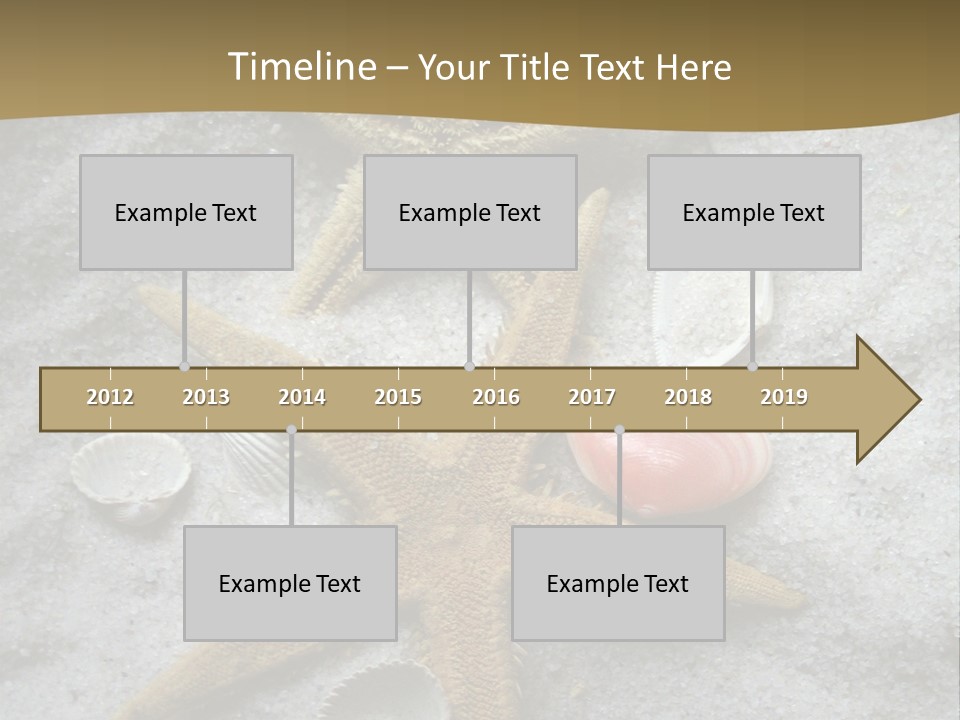 Shells Ocean Marine PowerPoint Template