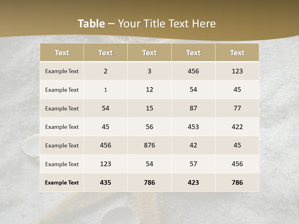 Shells Ocean Marine PowerPoint Template