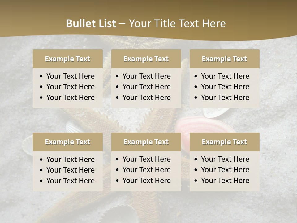 Shells Ocean Marine PowerPoint Template