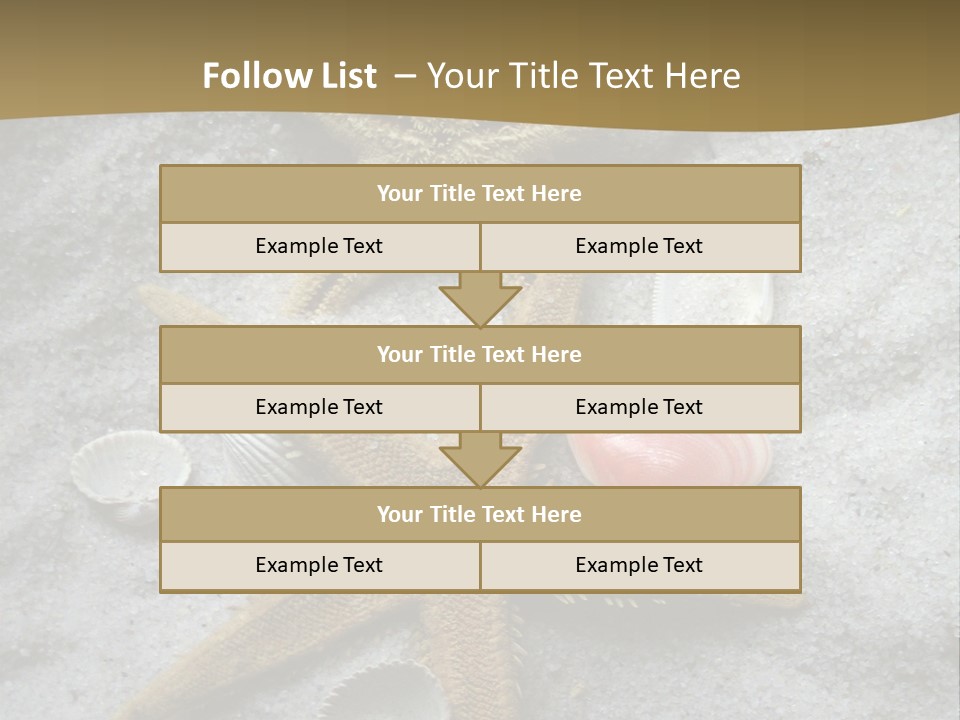 Shells Ocean Marine PowerPoint Template