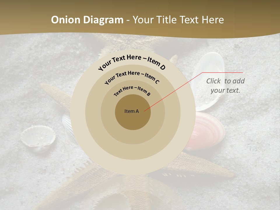 Shells Ocean Marine PowerPoint Template