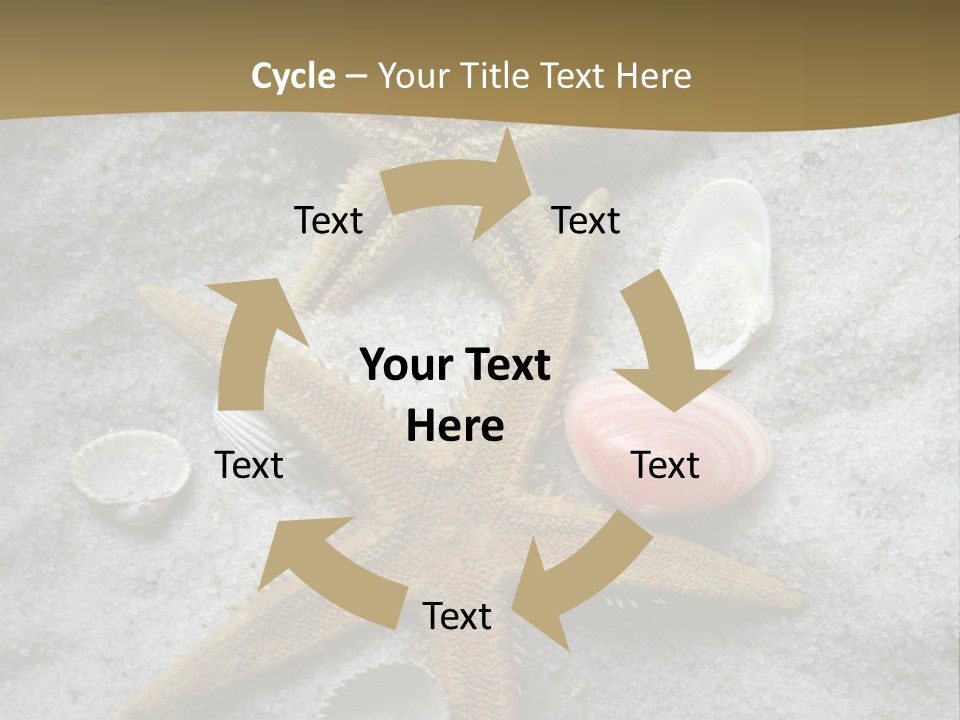 Shells Ocean Marine PowerPoint Template