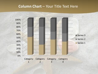 Shells Ocean Marine PowerPoint Template