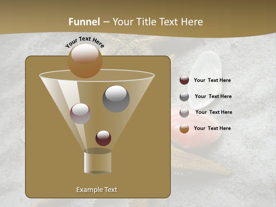 Shells Ocean Marine PowerPoint Template