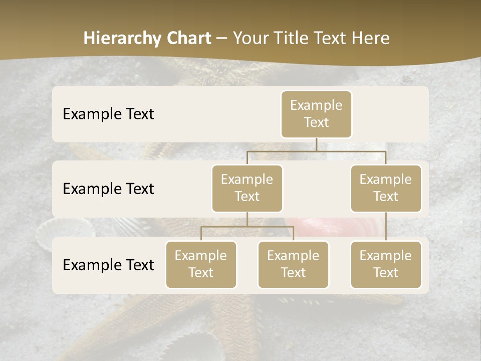 Shells Ocean Marine PowerPoint Template