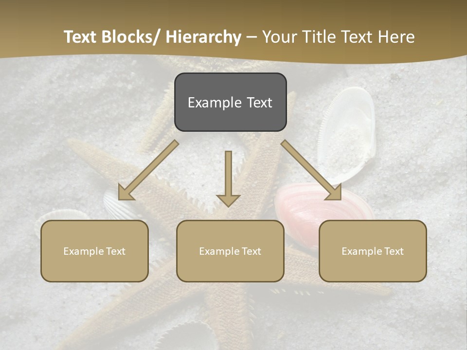 Shells Ocean Marine PowerPoint Template