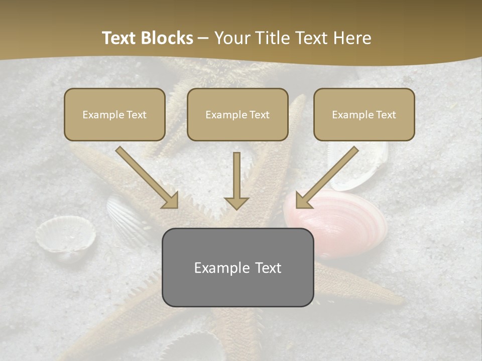 Shells Ocean Marine PowerPoint Template