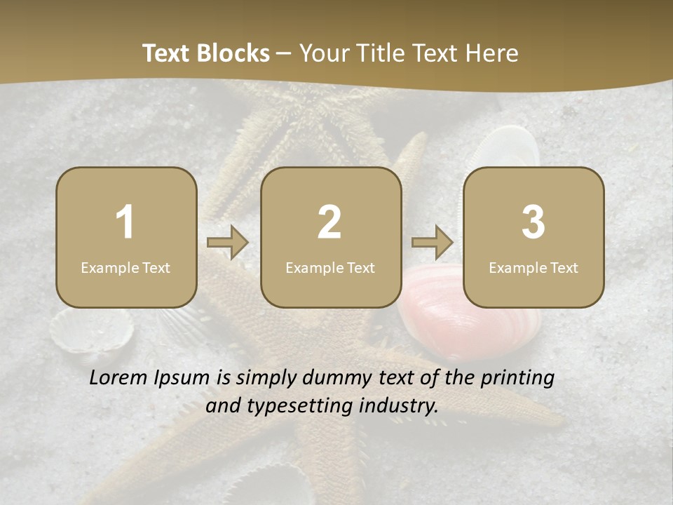 Shells Ocean Marine PowerPoint Template