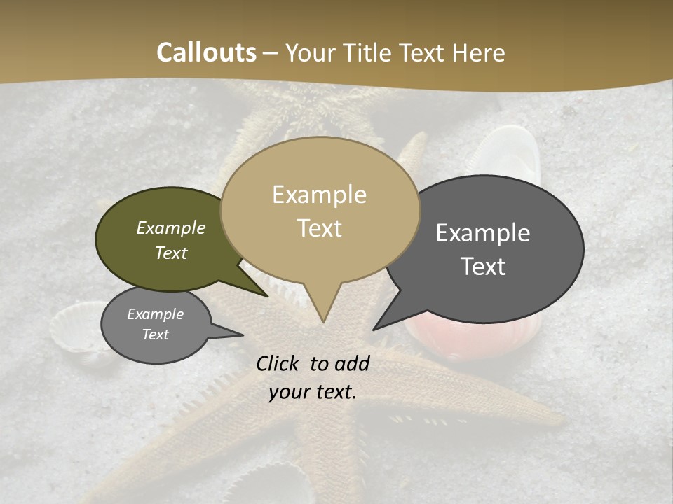 Shells Ocean Marine PowerPoint Template