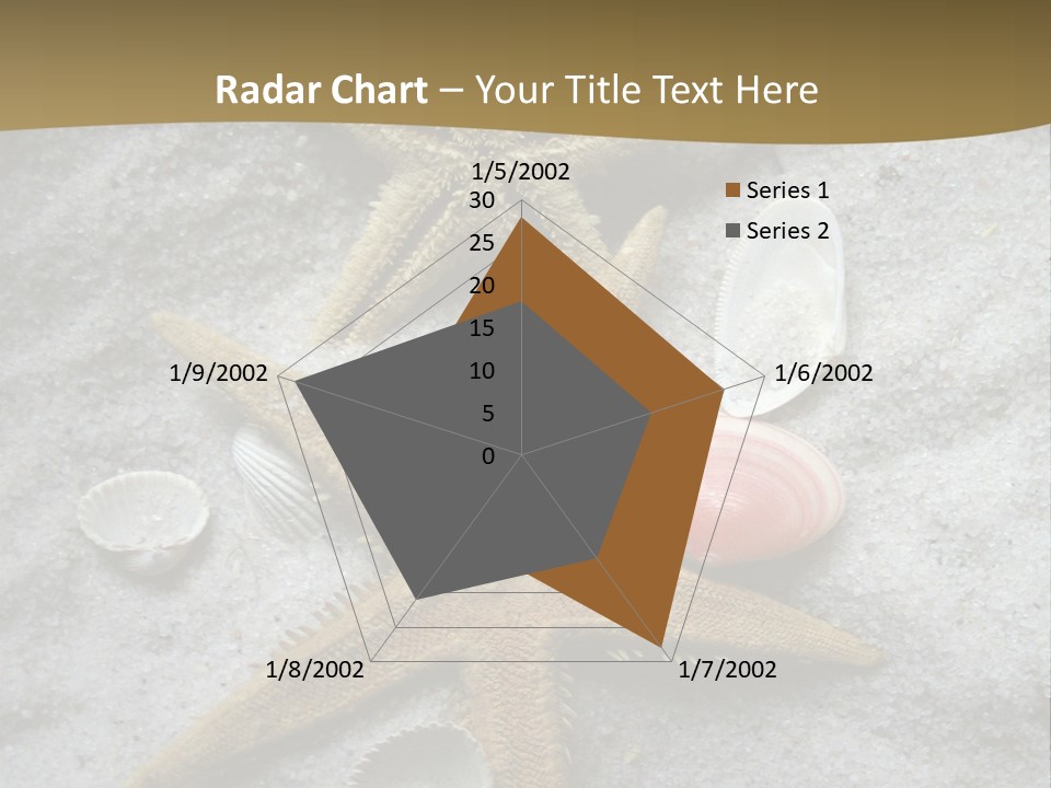 Shells Ocean Marine PowerPoint Template