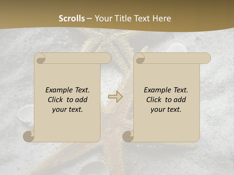 Shells Ocean Marine PowerPoint Template