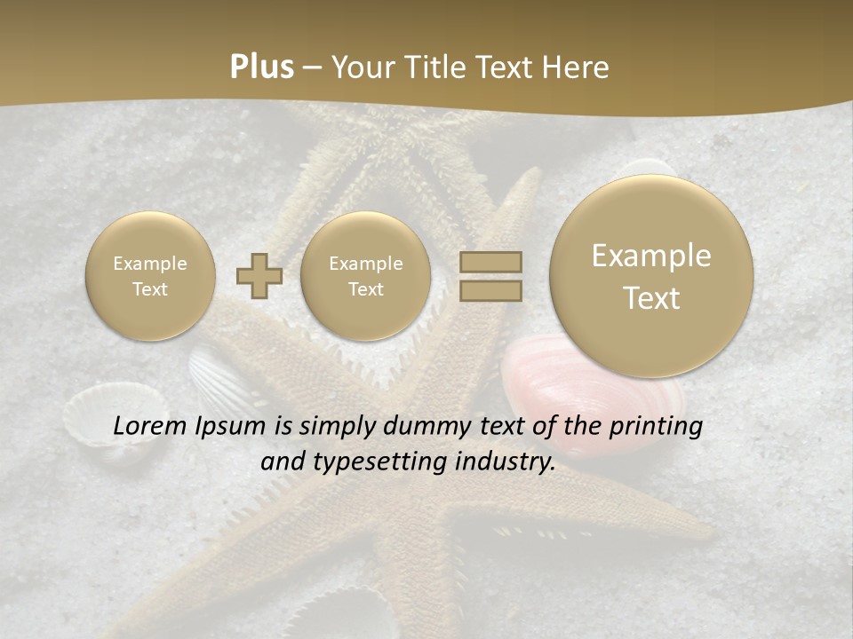 Shells Ocean Marine PowerPoint Template