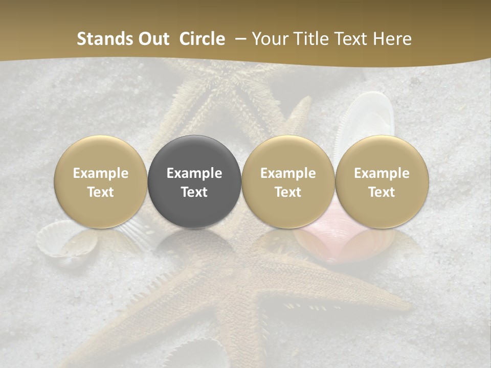 Shells Ocean Marine PowerPoint Template