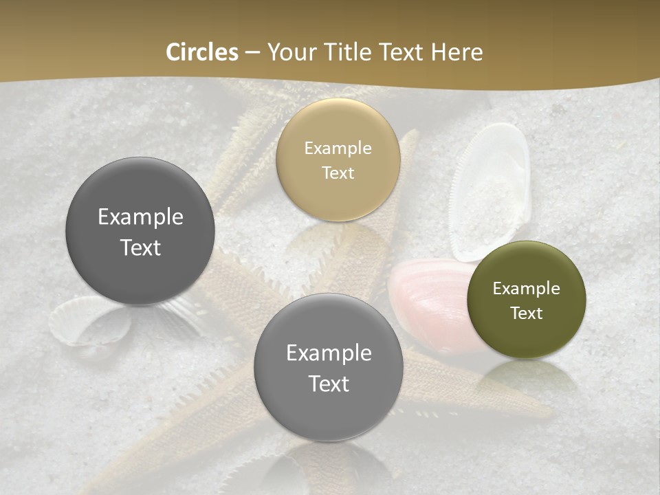 Shells Ocean Marine PowerPoint Template