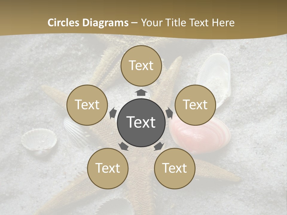 Shells Ocean Marine PowerPoint Template