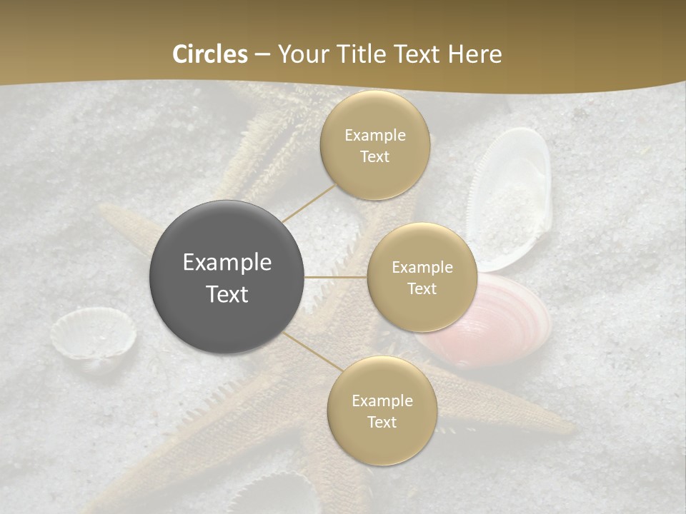 Shells Ocean Marine PowerPoint Template