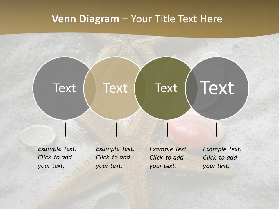 Shells Ocean Marine PowerPoint Template