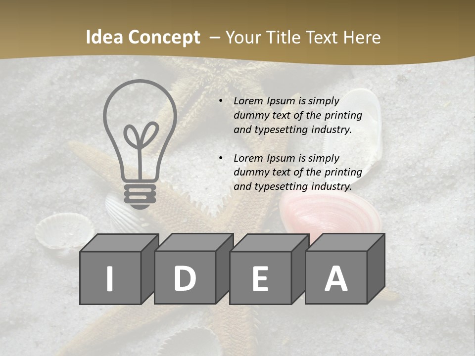 Shells Ocean Marine PowerPoint Template