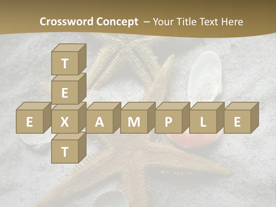 Shells Ocean Marine PowerPoint Template