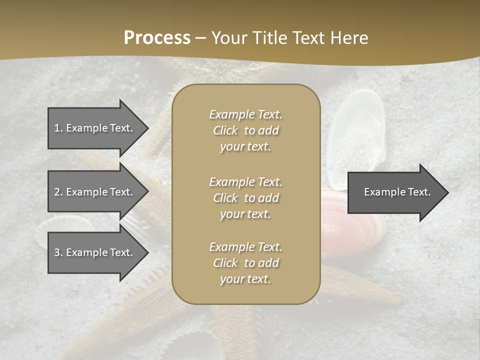 Shells Ocean Marine PowerPoint Template