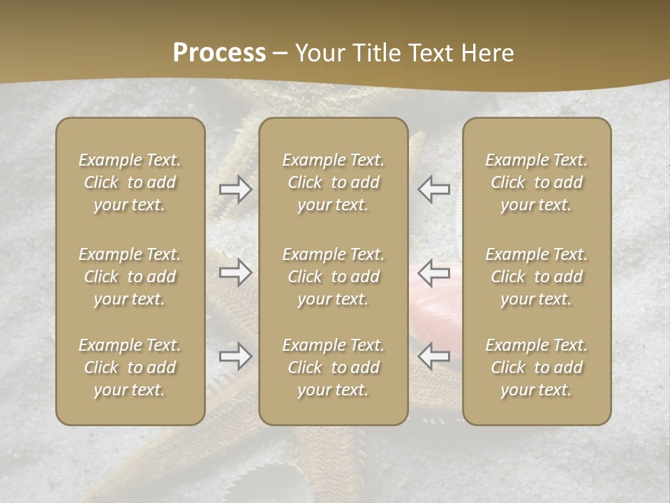 Shells Ocean Marine PowerPoint Template