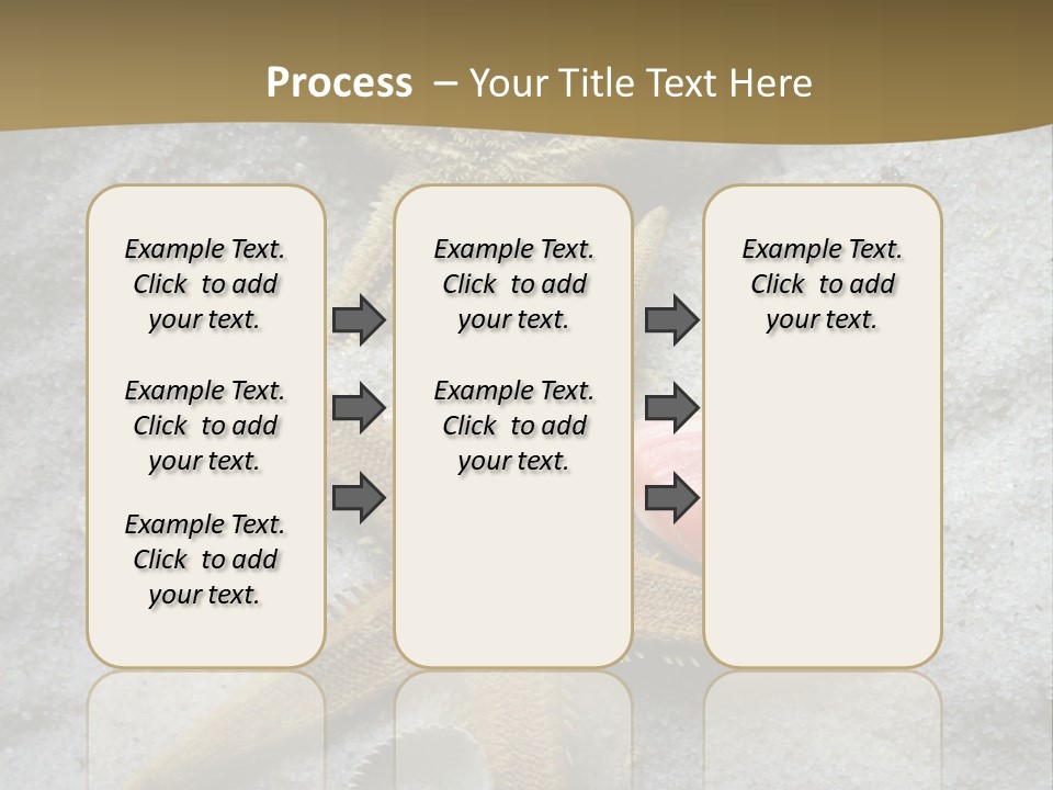 Shells Ocean Marine PowerPoint Template