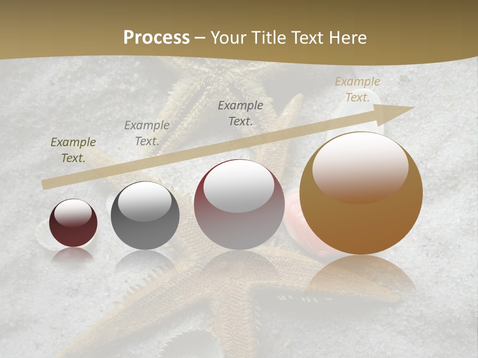 Shells Ocean Marine PowerPoint Template