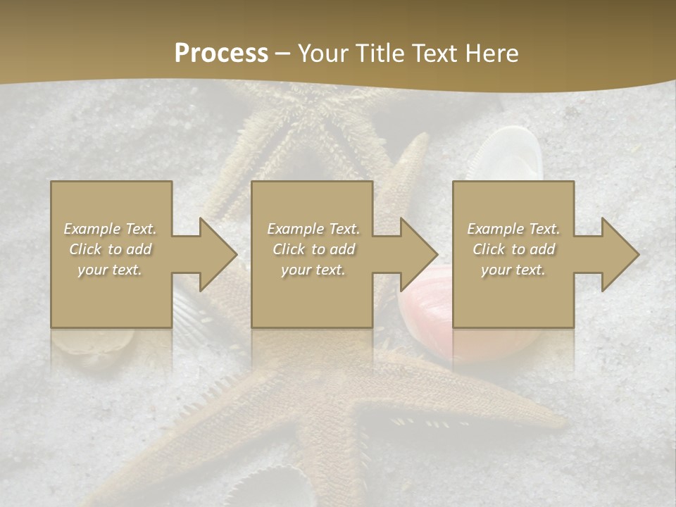 Shells Ocean Marine PowerPoint Template