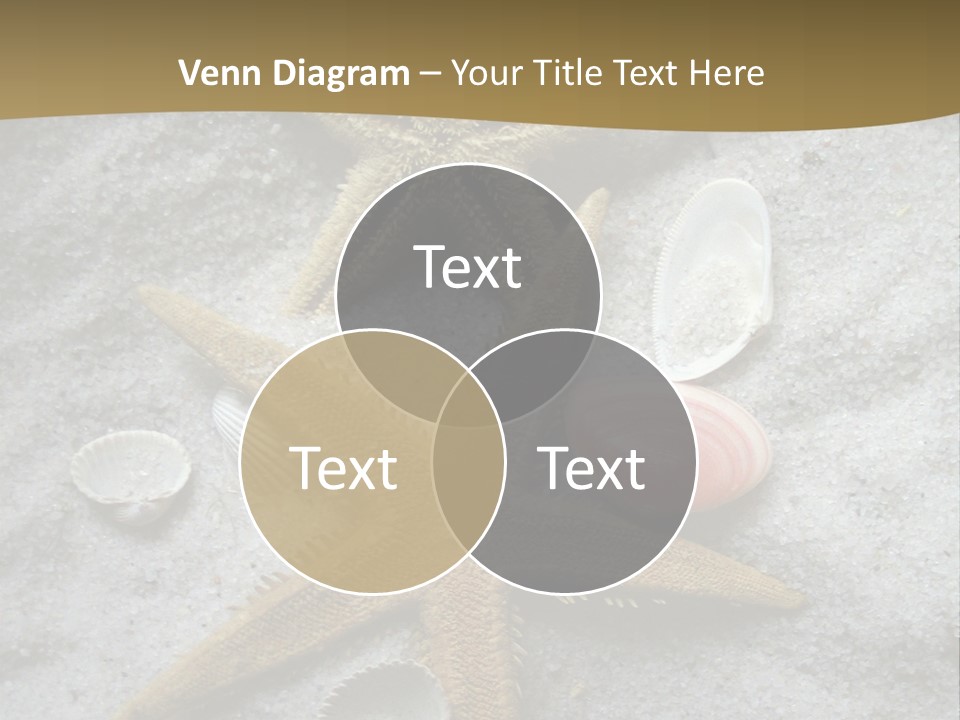 Shells Ocean Marine PowerPoint Template