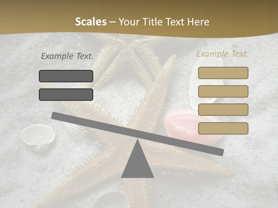 Shells Ocean Marine PowerPoint Template