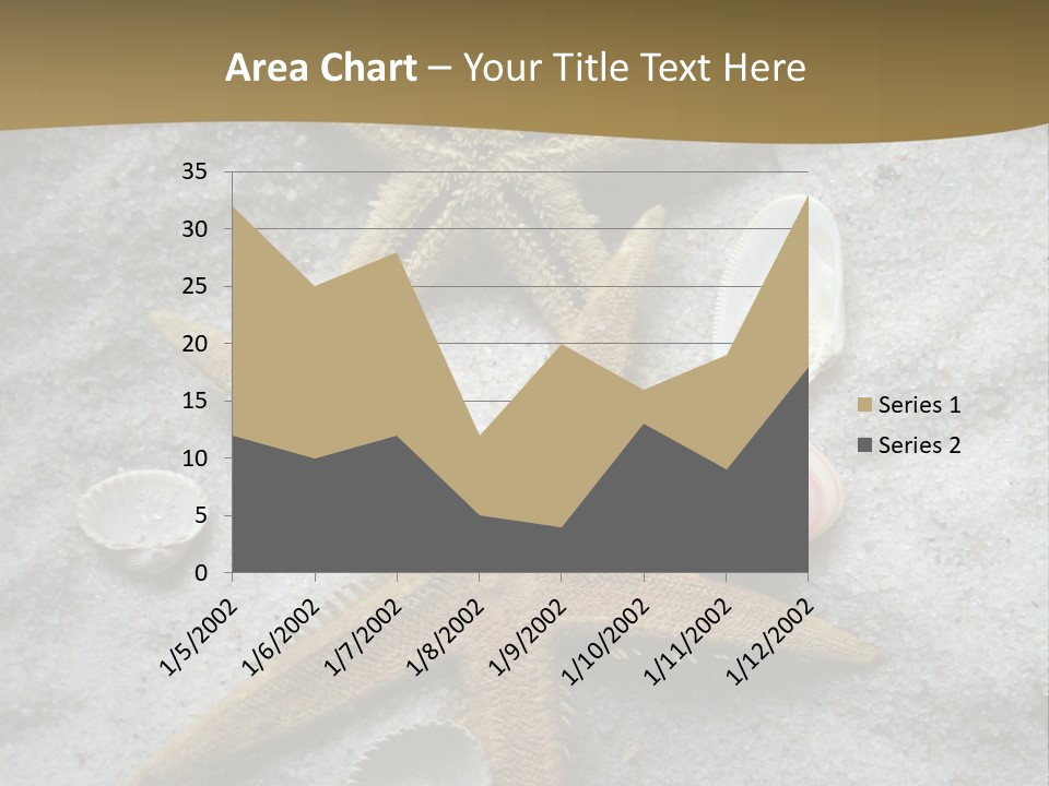 Shells Ocean Marine PowerPoint Template