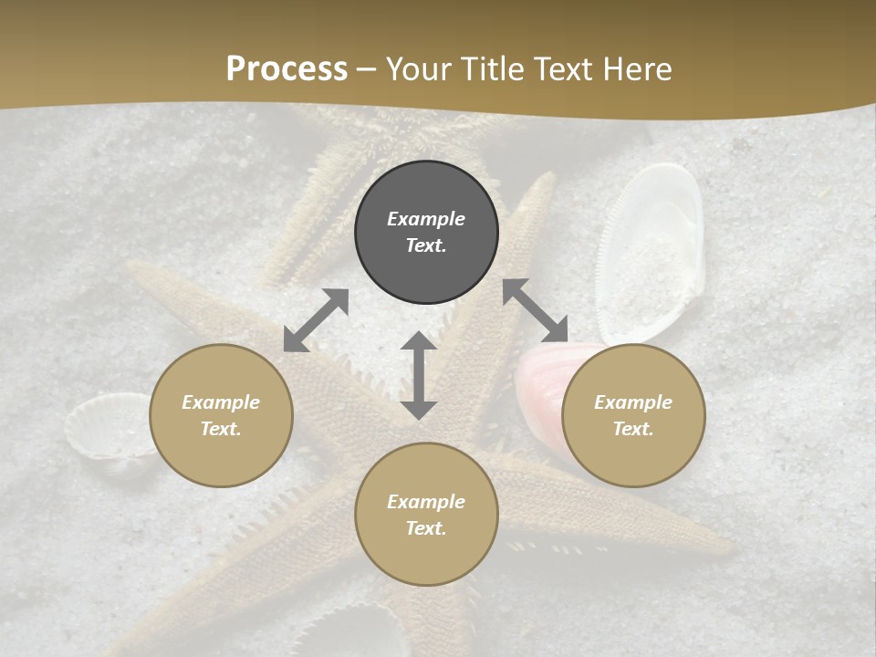 Shells Ocean Marine PowerPoint Template