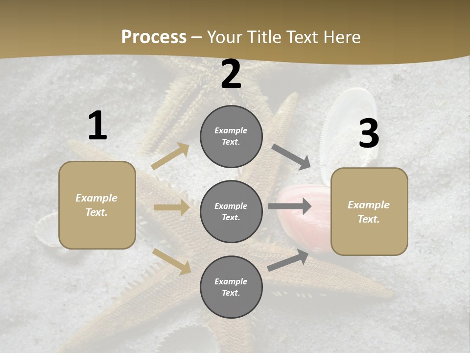 Shells Ocean Marine PowerPoint Template