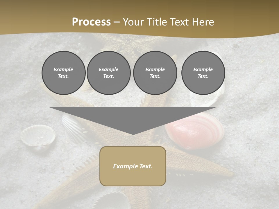 Shells Ocean Marine PowerPoint Template