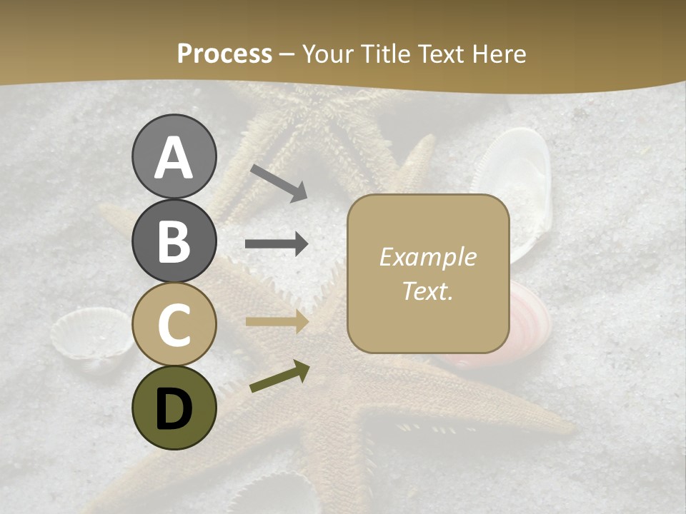 Shells Ocean Marine PowerPoint Template